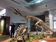 -自贡恐龙博物馆