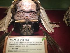 -信不信由你博物馆