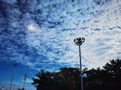 -晋爵会游泳馆(海湾公园店)