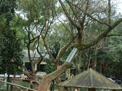 -重庆动物园·东二门售票处