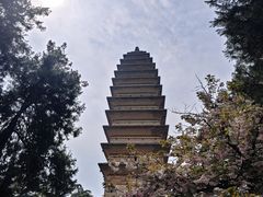 -洛阳白马寺