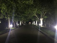 -裕华世纪公园