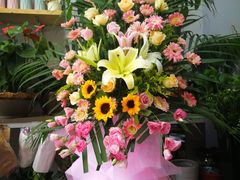 -绿韵花艺鲜花店(解放南路店)