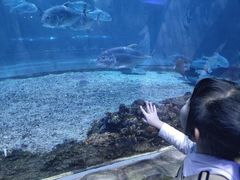 -华夏文旅海洋公园