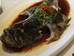 清蒸石斑鱼-人杰鱼乐轩(珠江路店)
