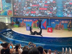 -成都浩海立方海洋公园