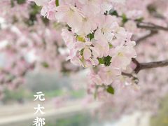 -元大都城垣遗址公园