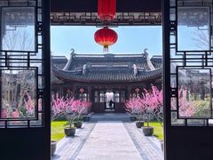 -上海海湾国家森林公园