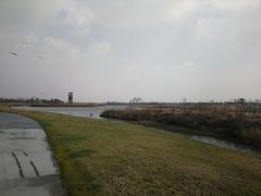 -春花秋色城市公园