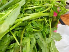 -广宁炭炉鸡煲·富临门饭店