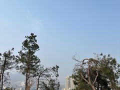 -青龙山国家森林公园