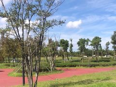 -春花秋色城市公园