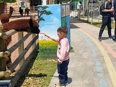 -苏州太湖西山岛开心农场