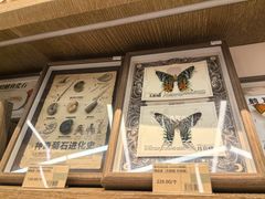 -覔书店(壹方城店)