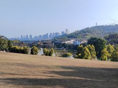 -张坝桂圆林公园