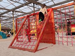 -南宫五洲植物乐园