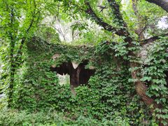-沈阳植物园