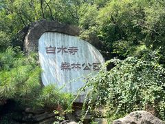 -白水寺森林公园