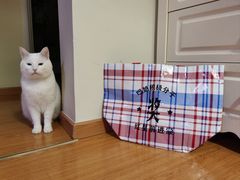 -红星前进面包牛奶公司(五道口购物中心店)