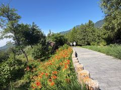 -白水寺森林公园