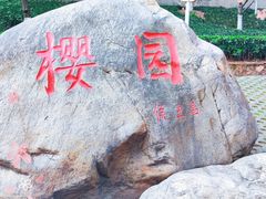 -武汉大学-樱园