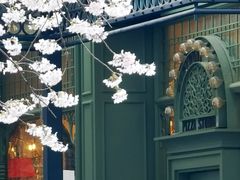 -玛格萝妮比萨屋(四平店)