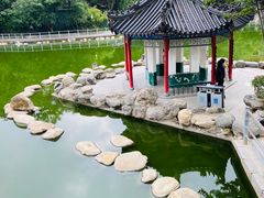 -莲湖公园