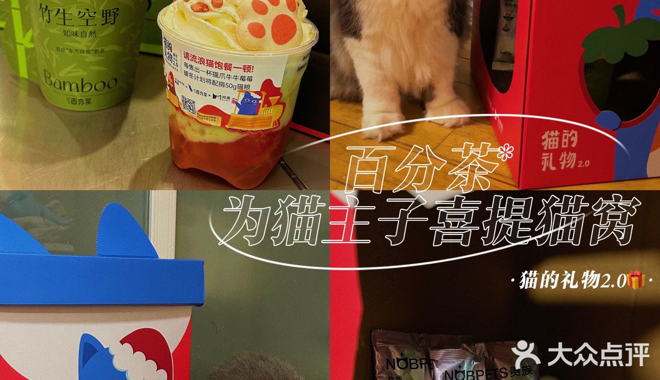 圈粉了买杯百分茶就能为猫主子喜提新窝‼️ 