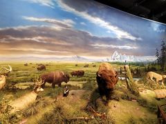 -陕西自然博物馆