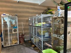 -大视光学•LINDBERG林德伯格•全球手工眼镜集合店(王府井店)