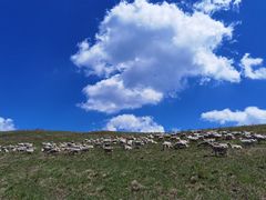 -北京灵山风景区