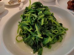 酒香豆苗-玫瑰厅上海菜(兴国路店)
