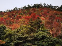 -广州市石门国家森林公园