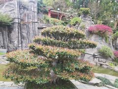 -南山植物园