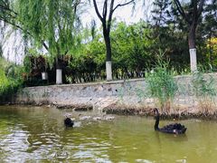 -南翠屏公园