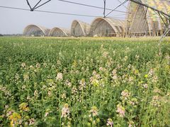 -中国天府农业博览园