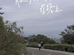 -阳台山森林公园