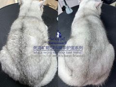 -汪小喵宠物·戴维斯乐芳希施宠馨宝皮毛调理洗护店