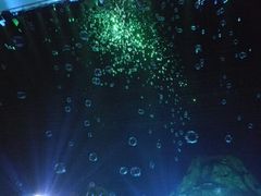 -横店影视城梦幻谷园区