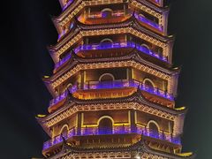 -太湖龙之梦