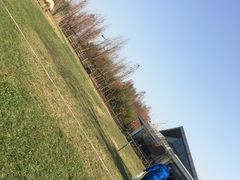 -田园东方蜜桃村的田野营地