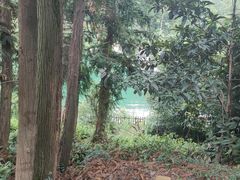 -九龙潭景区