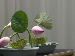 -无味舒食(环岛路店)