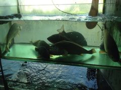 iphone_upload_pic-合家小菜餐馆(新诚花苑店)