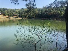 -南京市无想山景区