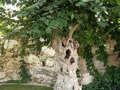 -莲池书院博物馆