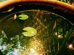 -有才叔的小馆(招商依云曲江店)