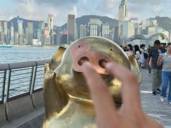-星光大道