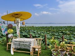 -七的湖·晚芳亭·阳澄湖农家菜·大闸蟹(莲花岛店)