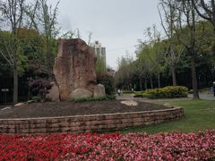 -苏州河梦清园环保主题公园